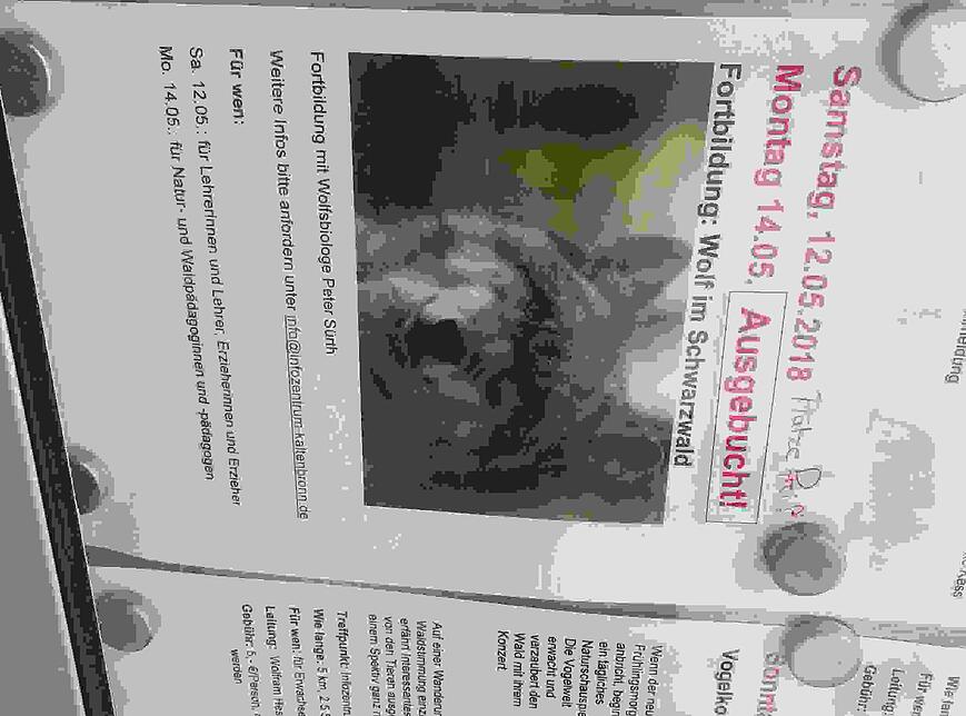 Bild 5: Wie soll das gehen mit dem Wolf im Schwarzwald? Ein Besuch in Bad Wildbad zeigt: Es gibt keine schnellen Lösungen