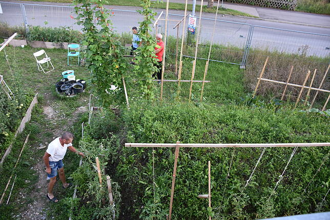 Nach Feierabend kümmern sich die Bauleute um den Gemüsegarten. Hier erholen sie sich von der anstrengenden Arbeit.
