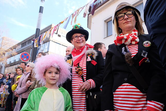 Bild 17: Bilder vom großen Narrenbaum-Umzug aller Singener Zünfte (Teil 2)