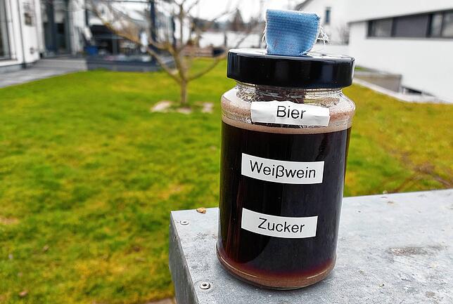 Verführerisch: Mit so einer Mischung lassen sich Asiatische Hornissen anlocken und können dann fotografiert werden.