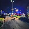 Ein Großaufgebot an Blaulichtorganisationen war in der Nacht zum Samstag, 13. April, an der Kreuzung Münchriedstraße/Hombergerstraße im ...