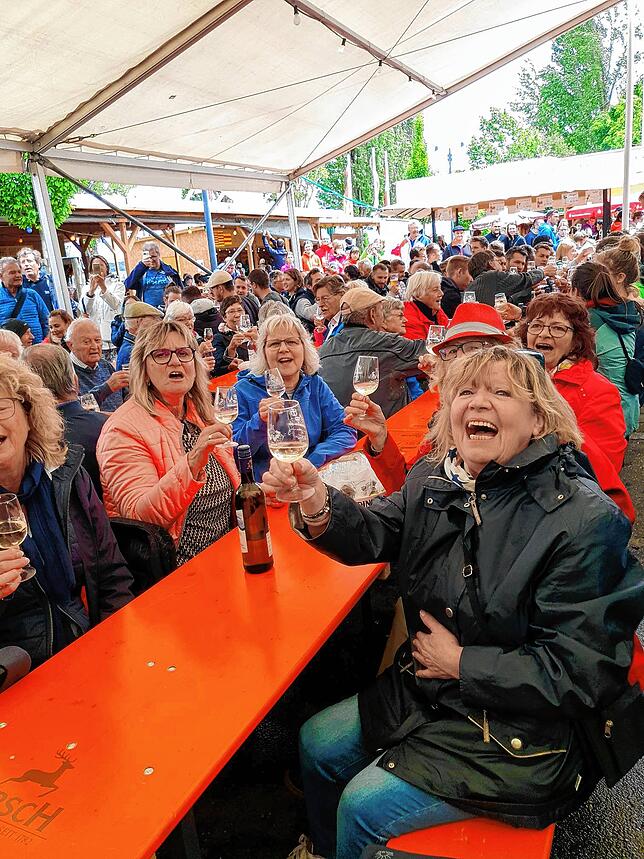 Bild 13: Weinfest auf der Reichenau &ndash; und der SÜDKURIER ist mit dabei!