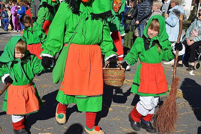 Bild 12: Bilder vom Narrentreffen der Urviecher-Zunft Bad Dürrheim: Großer Festumzug (2)