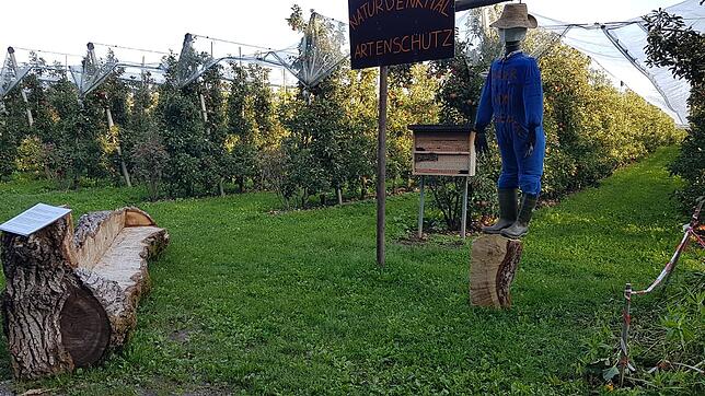 Ein Landwirt aus Tettnang hat auf seinem Feld die lebensgroße Puppe, die einen Bauern symbolisiert, mit einem Strick um den Hals an ein ...
