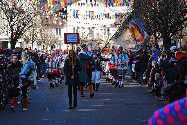 Bild 15: Bilder vom Umzug des Hochrhein Narrentreffens in Tiengen (Teil 1)