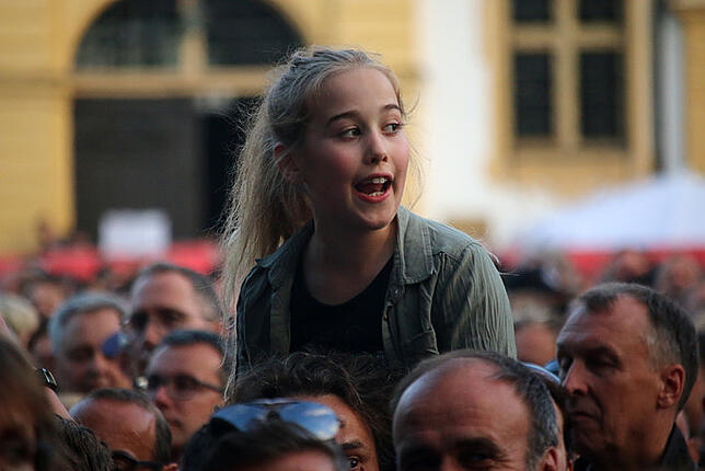 Bild 29: Alle Bilder zum Konzert der Fantastischen Vier beim Schloss Salem Open Air