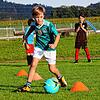 Bild :