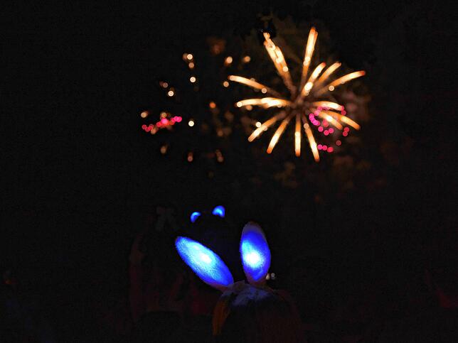Bild 3: Bilder vom Feuerwerk beim Seehasenfest