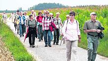 Nach einer rund dreistündigen Wanderung kamen die Wandersleut auf die Zielgerade zur abschließenden Rast. Trotz Regen am Vormittag ...