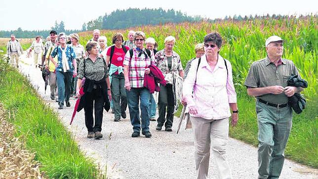Nach einer rund dreistündigen Wanderung kamen die Wandersleut auf die Zielgerade zur abschließenden Rast. Trotz Regen am Vormittag ...