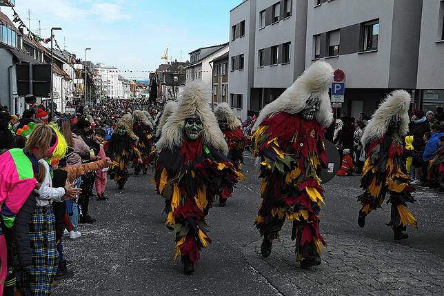 Bild 11: Bilder vom Narrensprung der Narrenzunft Seegockel in Friedrichshafen (2/3)