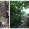 Ein 31-jähriger Wildcamper ist zwischen dem 8. und 9. Juni am Rheinufer in Jestetten getötet worden. Für das Opfer aus der Schweiz wurde ...