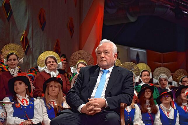 Bild 13: Alle Bilder von der Verhandlung des Stockacher Narrengerichts mit Wolfgang Kubicki