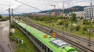 Das von den Behörden ausgewiesene Befallsgebiet erstreckt sich rund um den Freiburger Güterbahnhof.