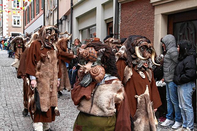 Bild 5: Bilder vom Fasnachtsumzug in Laufenburg