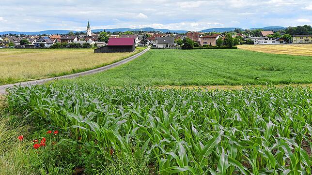 Im Nordwesten von Hüfingen soll nach SÜDKURIER-Informationen ein neues Einsatztrainingszentrum des Zolls entstehen.