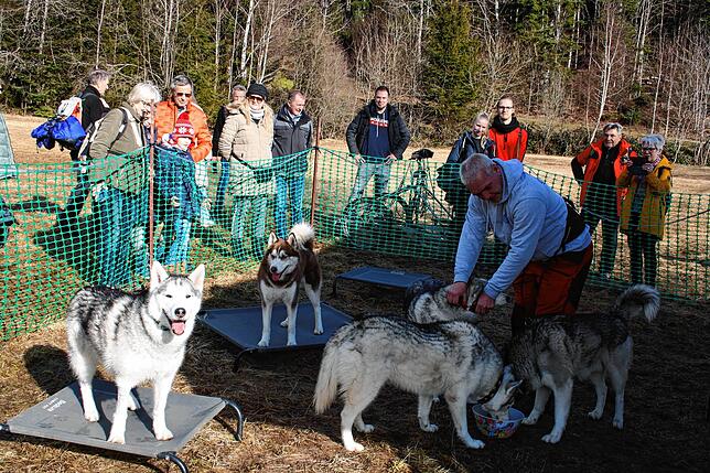 Alles rund um den Schlittenhundesport erfuhren die Besucher im Waldhaus Husky-Camp in Schwarzenbach