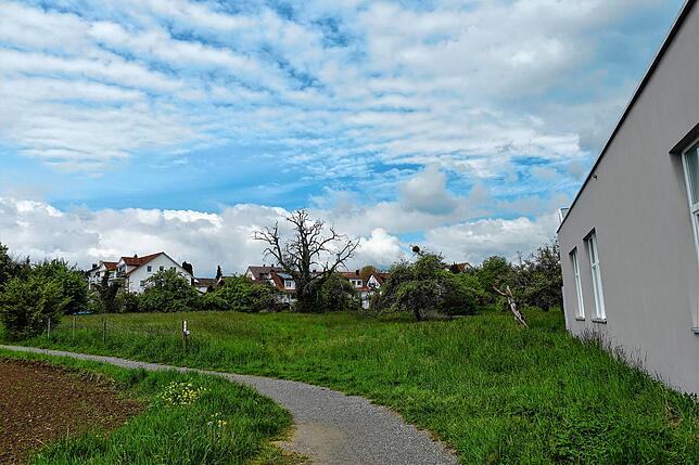 mdx 14 klu lachenäcker2 Blick vom Gewerbepark Kluftern in Richtung Westen: Das Feld links und die Streuobstwiese rechts vom ausgeschilderten Wanderweg zählen ...
