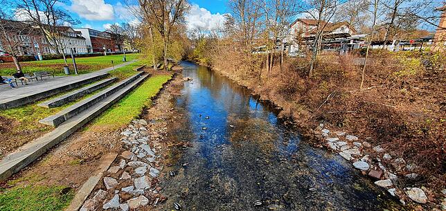 Bild 2: Wo ist das Wasser hin? Am Brigach-Ufer herrscht Ebbe nach einem Pegelneubau