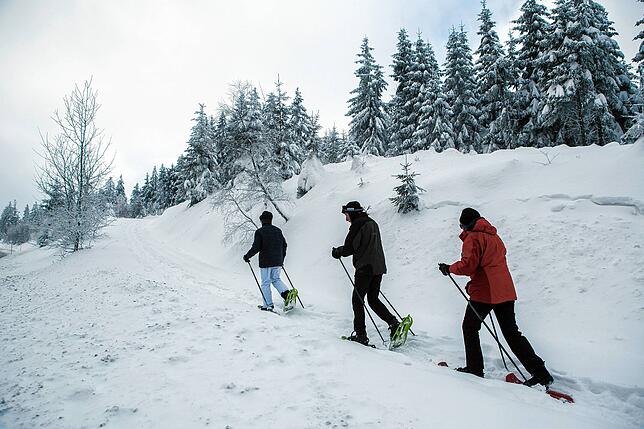 Schneeschuhwandern liegt derzeit sehr im Trend, hier ein Bild aus dem Nordschwarzwald. Wer auf den Wegen bleibt, setzt sich meist keiner ...