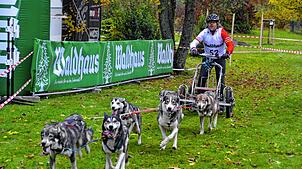Das Motiv zeigt eine Szene vom Schlittenhundewagenrennen 2023. Die zweite Auflage „Waldhaus-Wehra-Trail“ steht bevor. Archivbild: ...