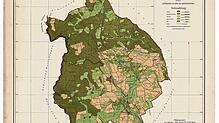 Auf dem Gemarkungsplan von Hänner und Oberhof aus dem Jahr 1889 findet sich die Gewannbezeichnung Sitticken. Bild: Landesarchiv ...