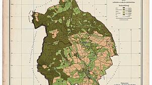Auf dem Gemarkungsplan von Hänner und Oberhof aus dem Jahr 1889 findet sich die Gewannbezeichnung Sitticken. Bild: Landesarchiv ...