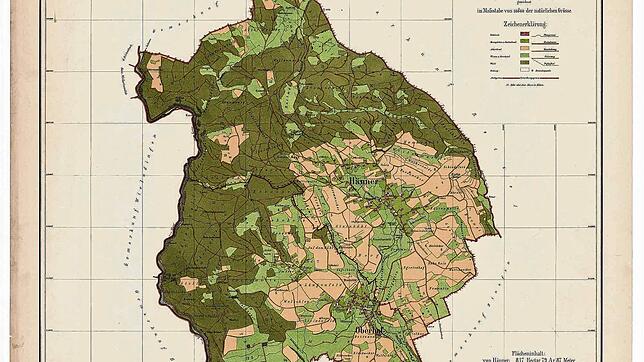 Auf dem Gemarkungsplan von Hänner und Oberhof aus dem Jahr 1889 findet sich die Gewannbezeichnung Sitticken. Bild: Landesarchiv ...