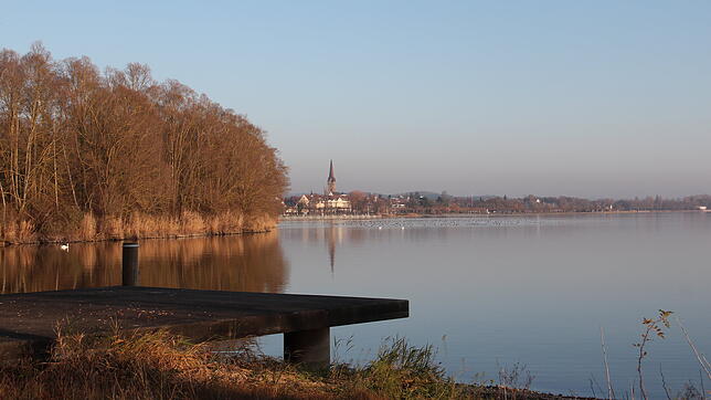 Vom Ufer des Streuhaus hat man einen beeindruckenden Blick auf Radolfzell. Hier möchte der Investor Bernd Schuler ein Feriendorf bauen, ...