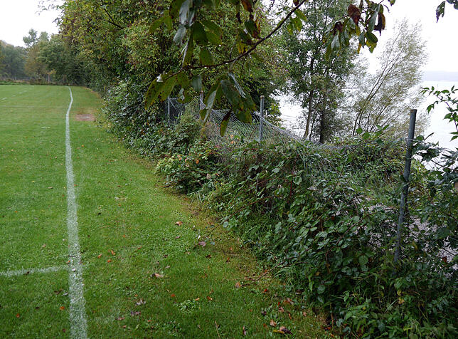 Schön am Wasser gelegen, aber kaum bespielbar: Beim Sportplatz am Fohrenbühl in Allmannsdorf/Staad wachsen Dornenbüsche bis fast an den ...