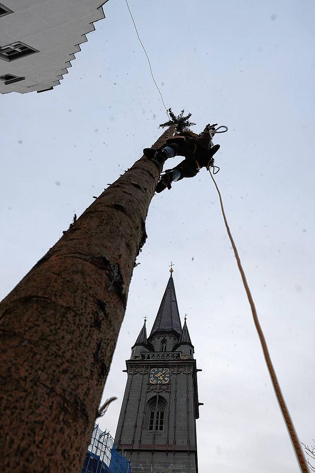Bild 5: Bilder vom Narrenbaumstellen in Radolfzell