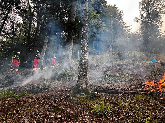 Bild 6: Loderne Flammen im Wald! Wie sich die Feuerwehr auf den Klimawandel vorbereitet