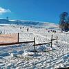 Seit dem Wochenende ist der Haldenlift bei Wintersulgen wieder in Betrieb. Ein echtes Weihnachtsgeschenk für Ski- und Rodelfreunde.
