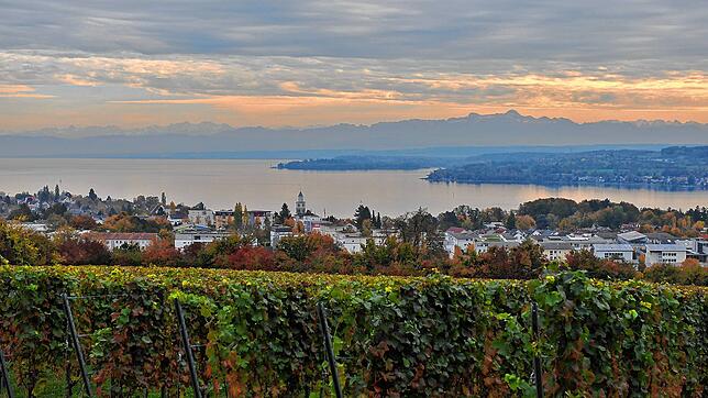 Alpenpanorama in der Abendsonne, von Überlingen aus fotografiert.