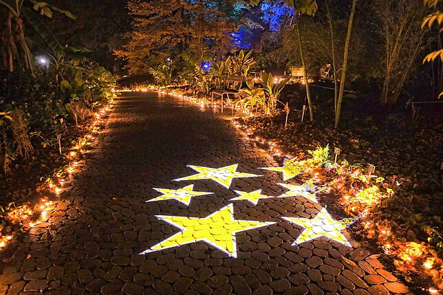 Bild 19: Insel Mainau: Bilder vom Start des Christmas Garden 2023 - Teil 1
