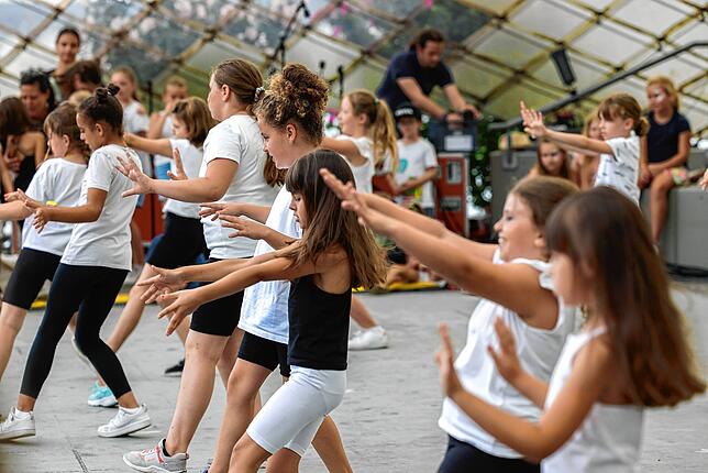 Bild 16: Hausherrenfest Kulturprogramm am Radolfzeller Uferbereich! – Hier die schönsten Einblicke!