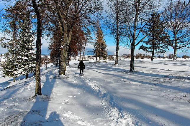 Bild 7: Der Winter hat zugeschlagen Teil 2