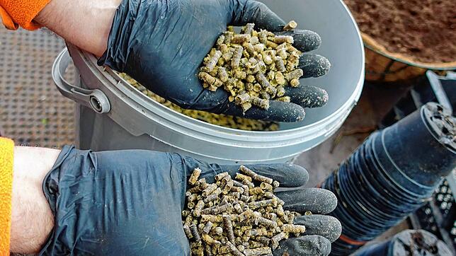 Die Pellets aus Schafwolle sind nährstoffreich und umweltfreundlich. Foto: Stadt Rheinfelden