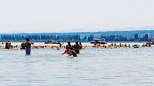 Im Hintergrund der Damm zur Insel Reichenau: Beim Gnadenseeschwimmen erreichte die Teilnehmerzahl mit 242 fast das Limit von 250.