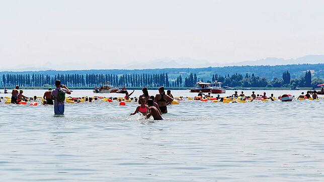 Im Hintergrund der Damm zur Insel Reichenau: Beim Gnadenseeschwimmen erreichte die Teilnehmerzahl mit 242 fast das Limit von 250.