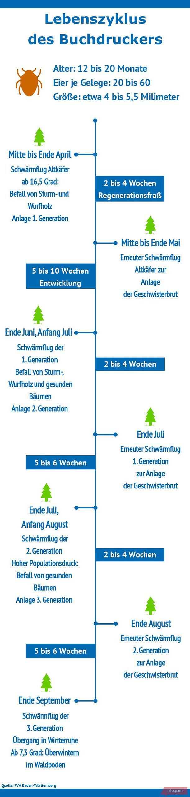 Lebenszyklus Buchdrucker