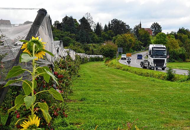 Den Verkehrslärm der Kreisstraße soll ein Riegel aus Wohn- und Gewerbehöfen vom Quartier fernhalten.