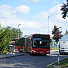 Bild :