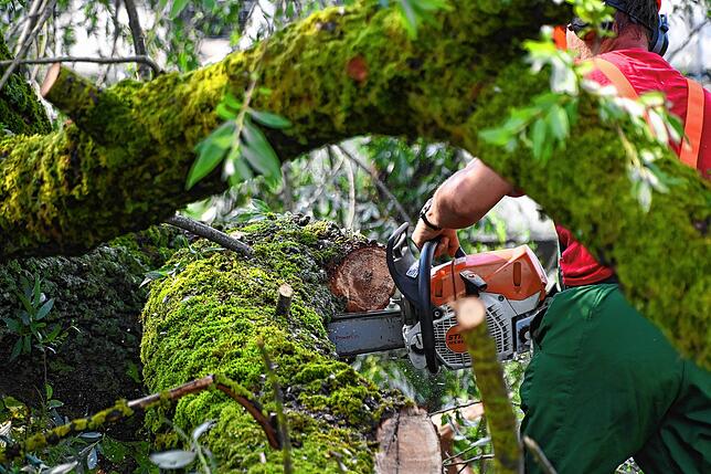 Bild 11: Bilder von den Einsätzen und massiven Schäden nach dem Unwetter in Bodman-Ludwigshafen