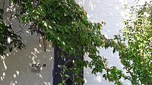 Heute ist das Wehrer Einfamilienhaus, in dem es zweimal gebrannt hat, unbewohnbar.