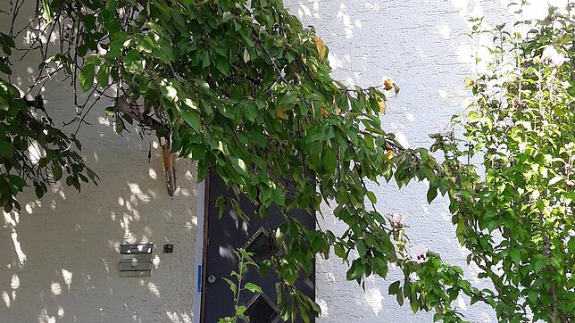 Heute ist das Wehrer Einfamilienhaus, in dem es zweimal gebrannt hat, unbewohnbar.