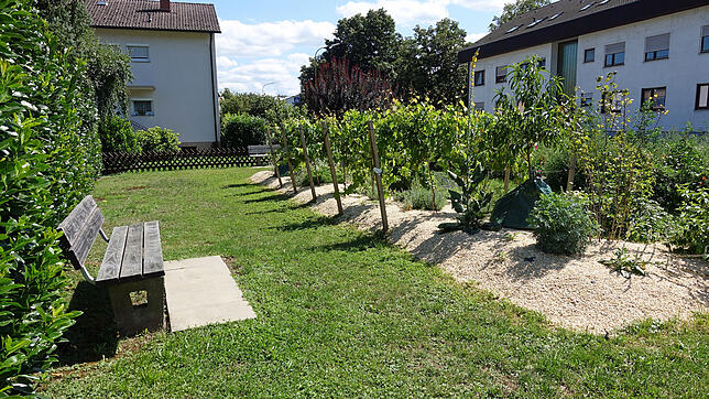 Kompensation der anderen Art: der &bdquo;Weinberg Herten&ldquo;.