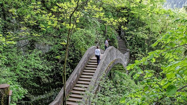 Die "Teufelsbrücke" im Fürstlichen Park, hier ein Archivbild aus 2014,  bleibt auch in Zukunft in der Unterhaltspflicht der ...