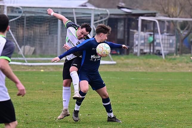 Bild 4: FC Hauingen besiegt den VfB Waldshut mit 3:0 – und wir haben Fotos!