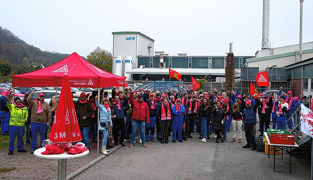 Die Beschäftigten der Aluminiumwerke in Wutöschingen protestierten damit auch gegen das zu geringe Angebot der Arbeitgeber, bei den seit ...